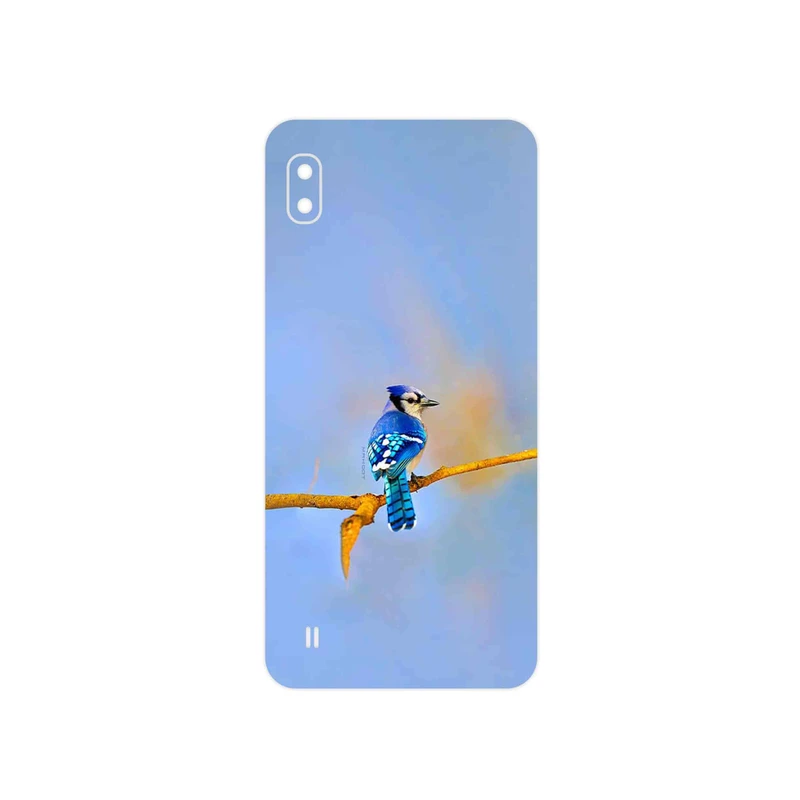 برچسب پوششی ماهوت مدل Cyanocitta cristata مناسب برای گوشی موبایل سامسونگ Galaxy A10
