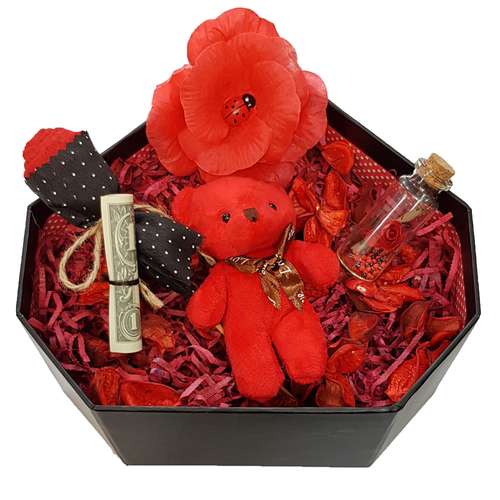  ست هدیه عروسک طرح خرس کد 4421