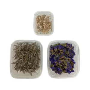 گل خشک مدل رزین مجموعه 3 عددی
