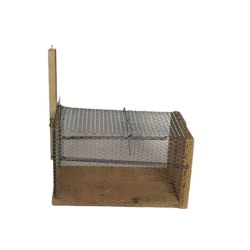 تله مدل سنجابی کد F80