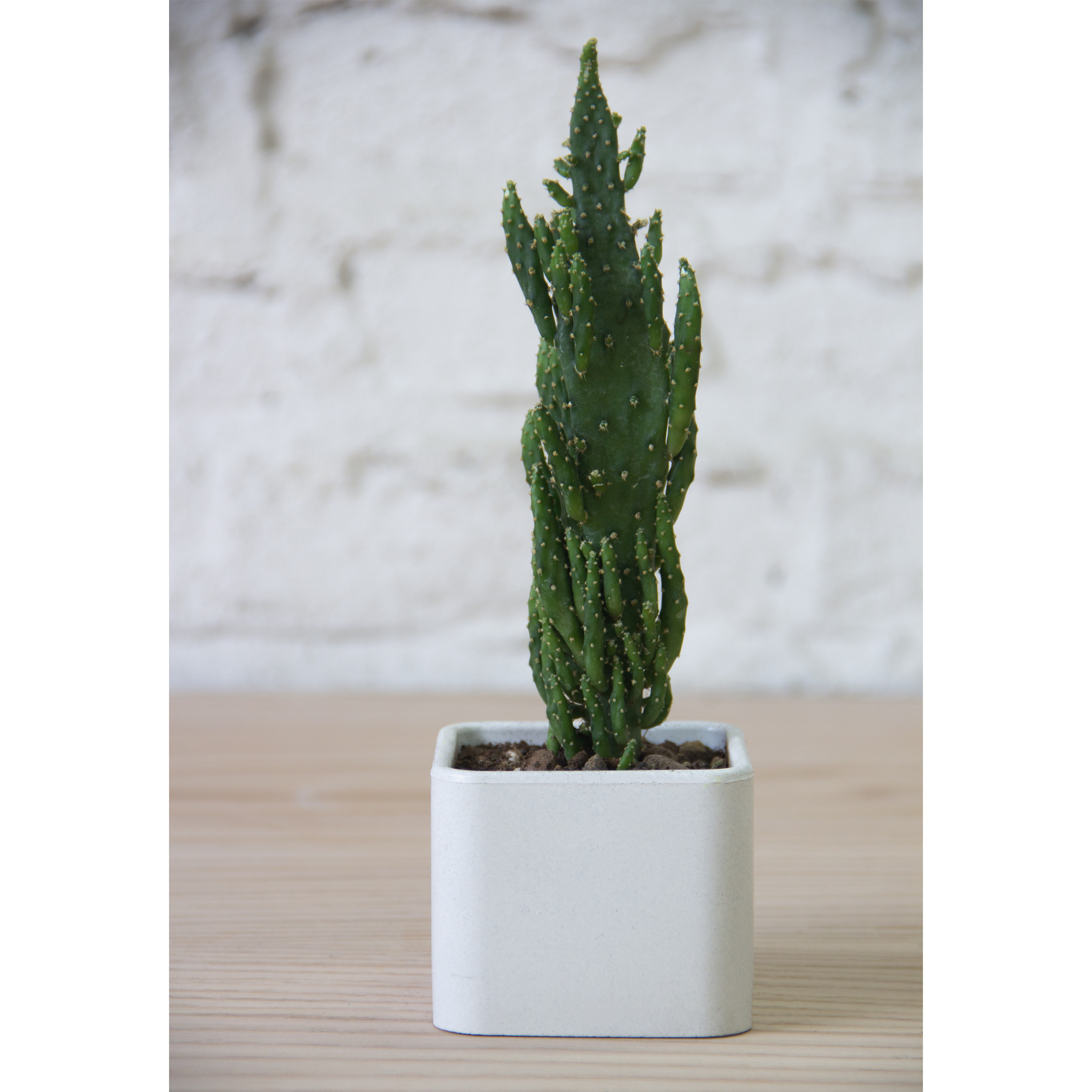 گلدان مدل G1090 مجموعه 5 عددی