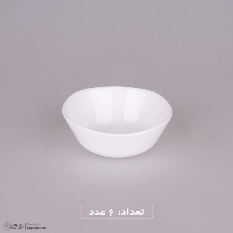 سرویس غذاخوری 26 پارچه گلدن اوپال مدل Corel