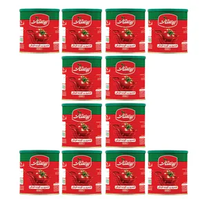 کنسرو رب گوجه فرنگی بیدستان - 800 گرم بسته 12 عددی