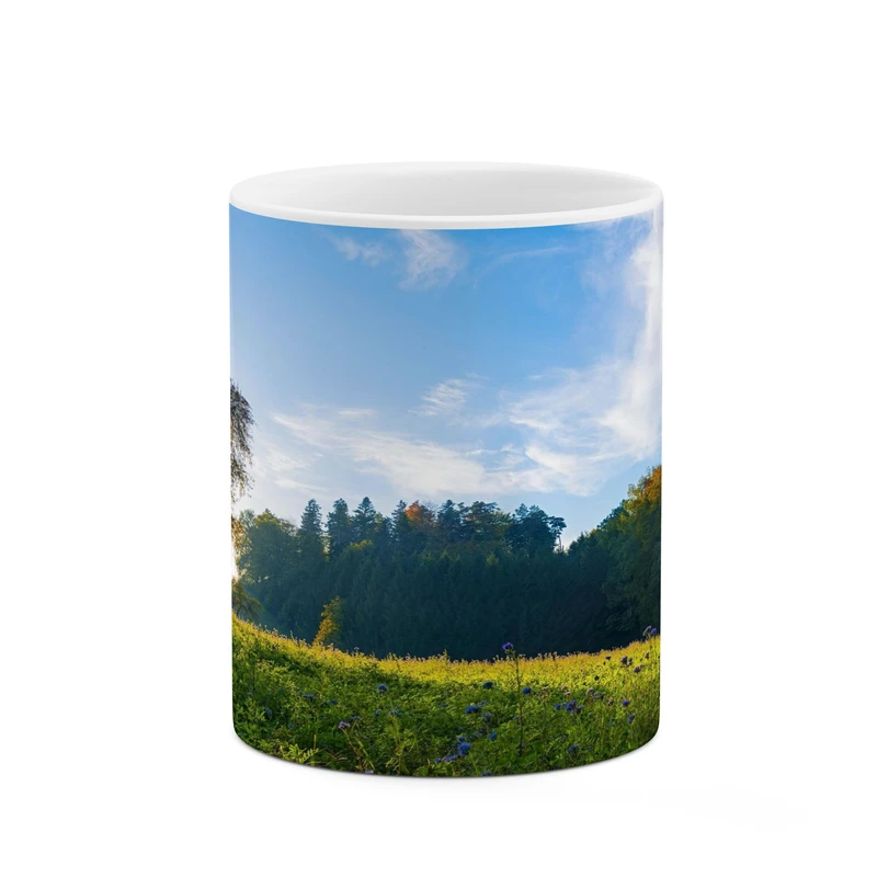 ماگ کاکتی مدل منظره کد mgh17751