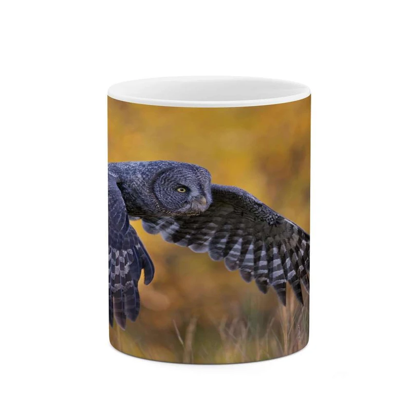 ماگ کاکتی مدل جغد کد mgh15456