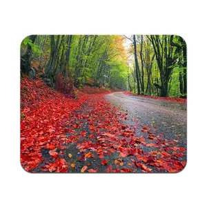 دستمال عینک مدل نانو طرح پاییز