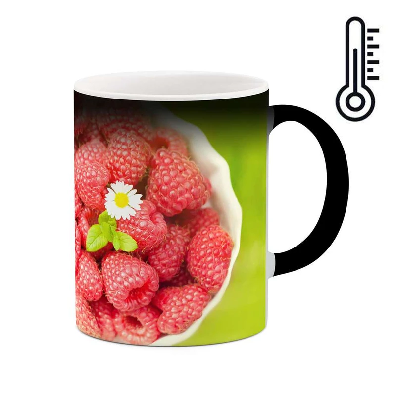 ماگ حرارتی کاکتی مدل گل کد mgh11978