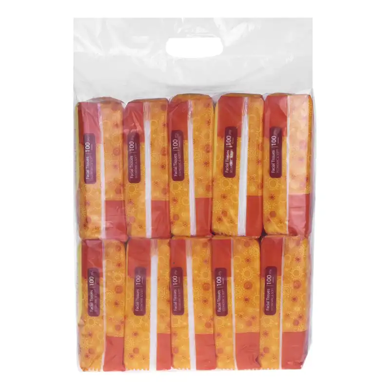 دستمال کاغذی 100 برگ هور پلاس مدل اقتصادی بسته 10 عددی