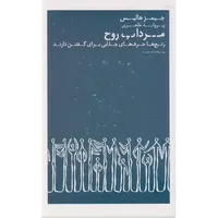 کتاب مرداب روح اثر جیمز هالیس ترجمه پروانه طاهری نشر عطر کاج