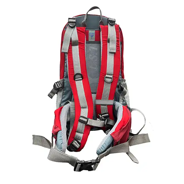 کوله پشتی کوهنوردی 30 لیتری دیوتر مدل APP-119