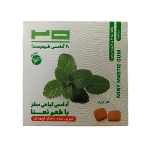آدامس نعنایی طبیعی بیست بسته 14 عددی