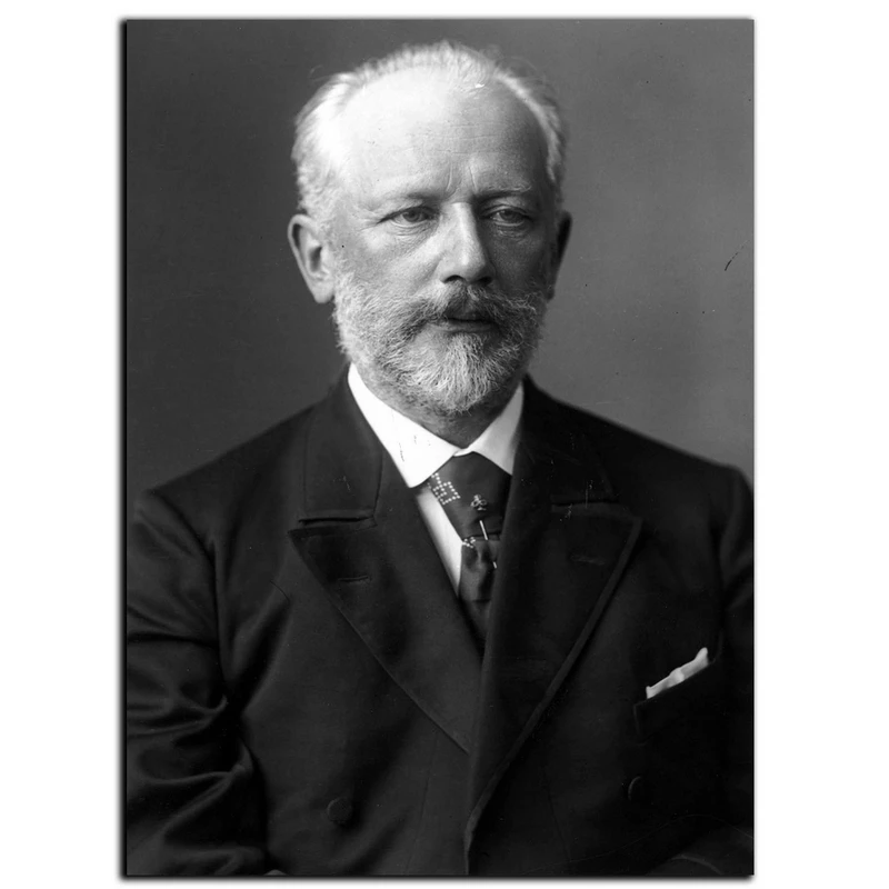 تابلو شاسی بکلیت طرح مشاهیر موسیقی مدل SH-6019