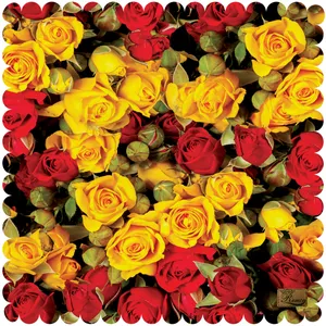  رومیزی رنس مدل T10-42800