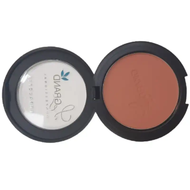 رژگونه لگراند شماره 301