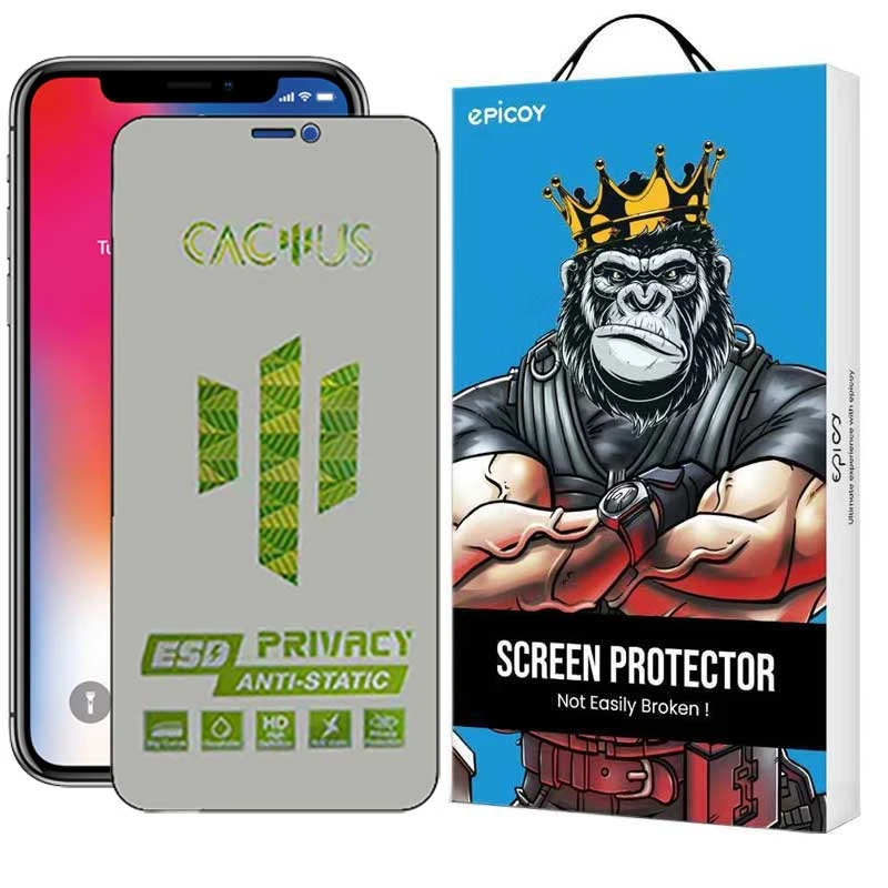  محافظ صفحه نمایش حریم شخصی اپیکوی مدل Cactus-ESD-Privacy مناسب برای گوشی موبایل اپل iPhone 11 Pro Max / XS Max