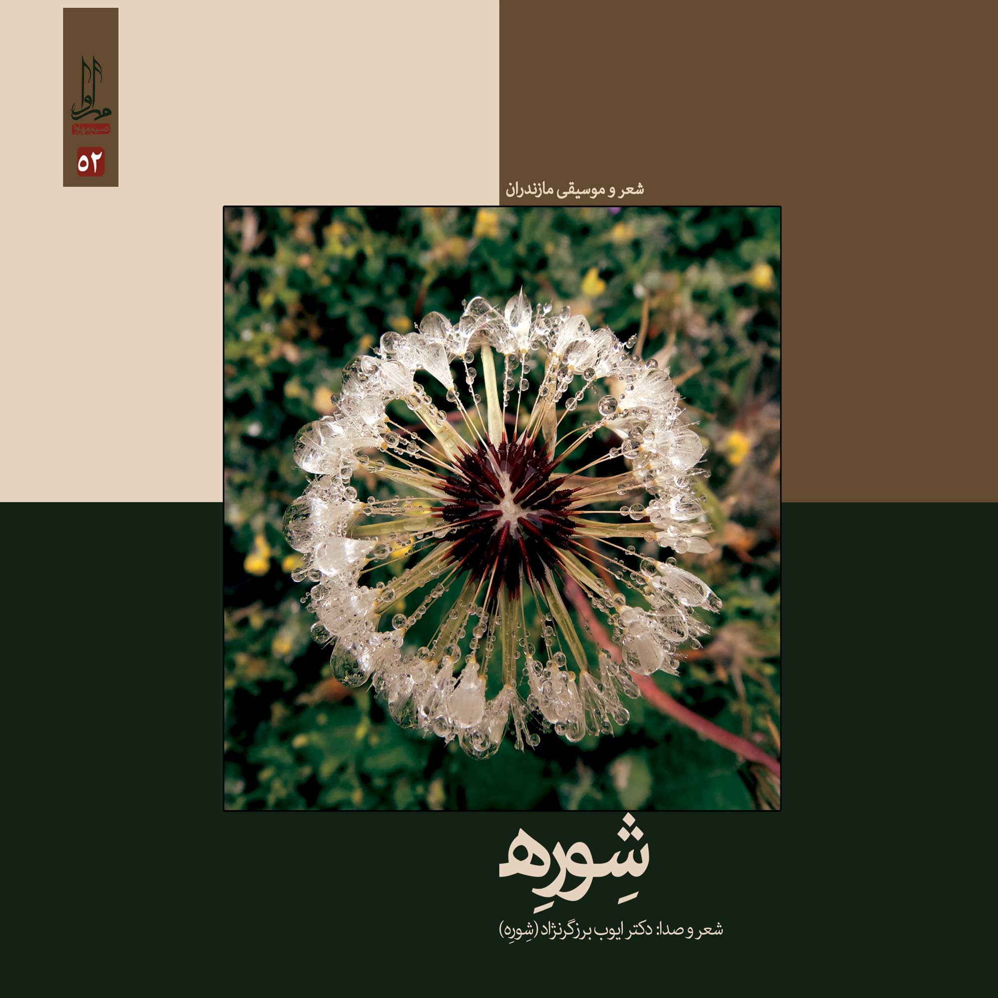 آلبوم موسیقی شوره اثر ایوب برزگر نژاد نشر مهرآوا