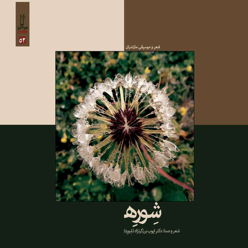 آلبوم موسیقی شوره اثر ایوب برزگر نژاد نشر مهرآوا آلبوم موسیقی شوره اثر ایوب برزگر نژاد نشر مهرآوا