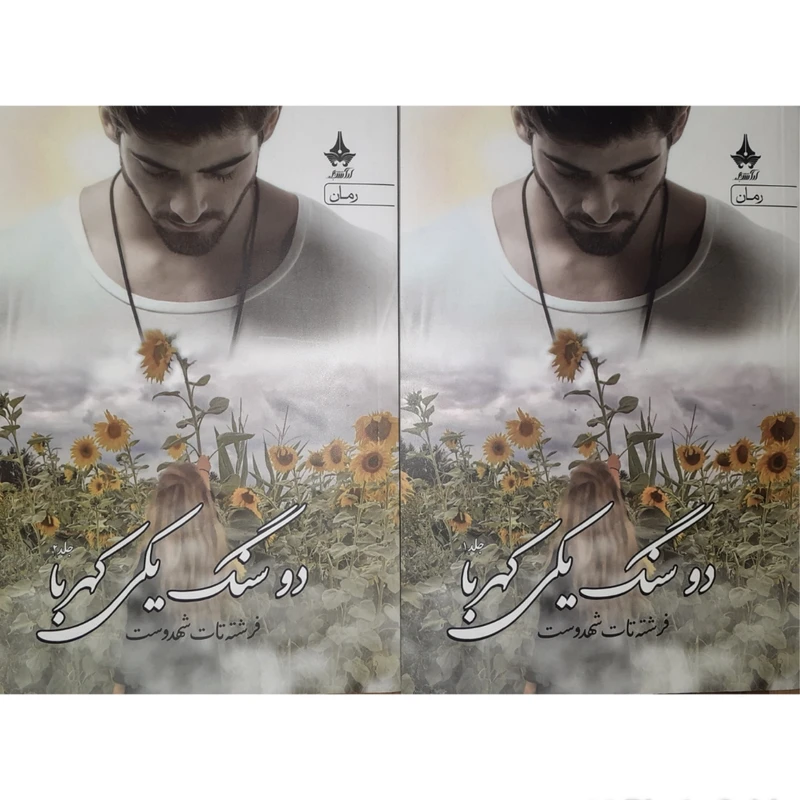 کتاب دو سنگ یکی کهربا اثر فرشته تات شهدوست انتشارات آراسبان دوره 2 جلدی