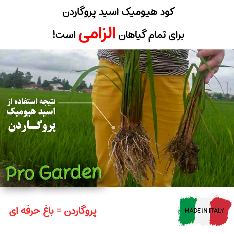 کود هیومیک اسید پروگاردن مدل Organic وزن 200 گرم