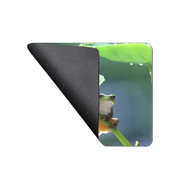 ماوس پد طرح قورباغه کد 3669