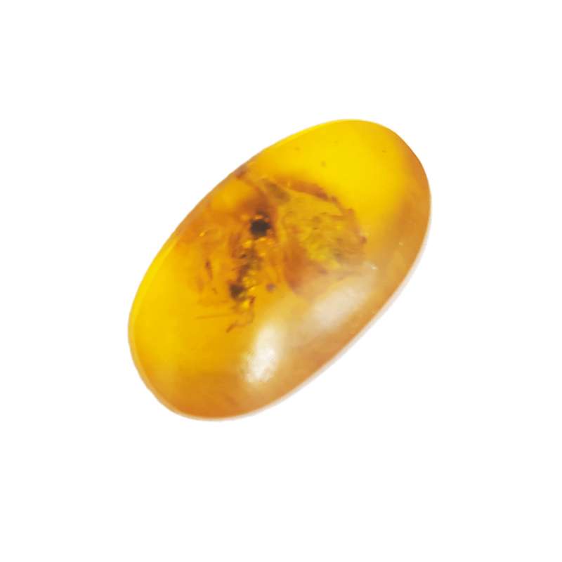 سنگ کهربا مورچه کد 40029