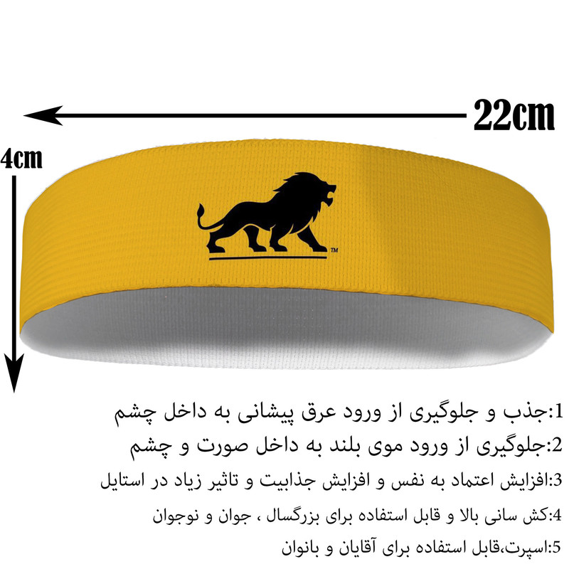 هدبند ورزشی آی تمر مدل شیر کد 320