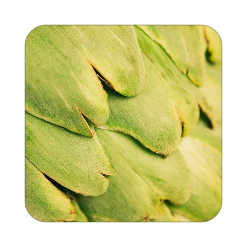 زیر لیوانی کاکتی طرح میوه مدل mp21569