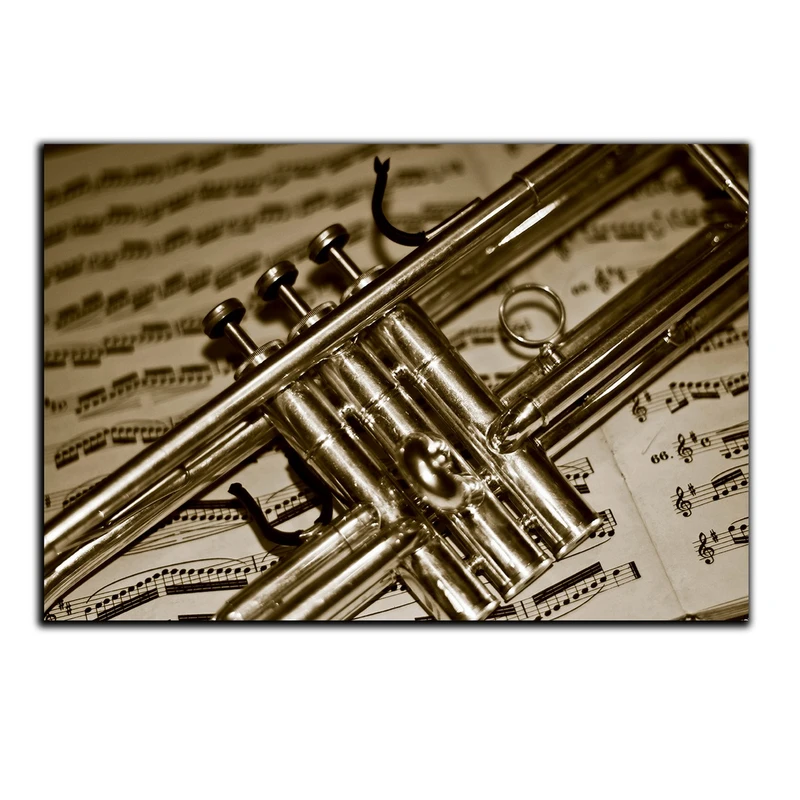 تابلو شاسی بکلیت طرح ساز بادی ترومپت مدل SH-5851