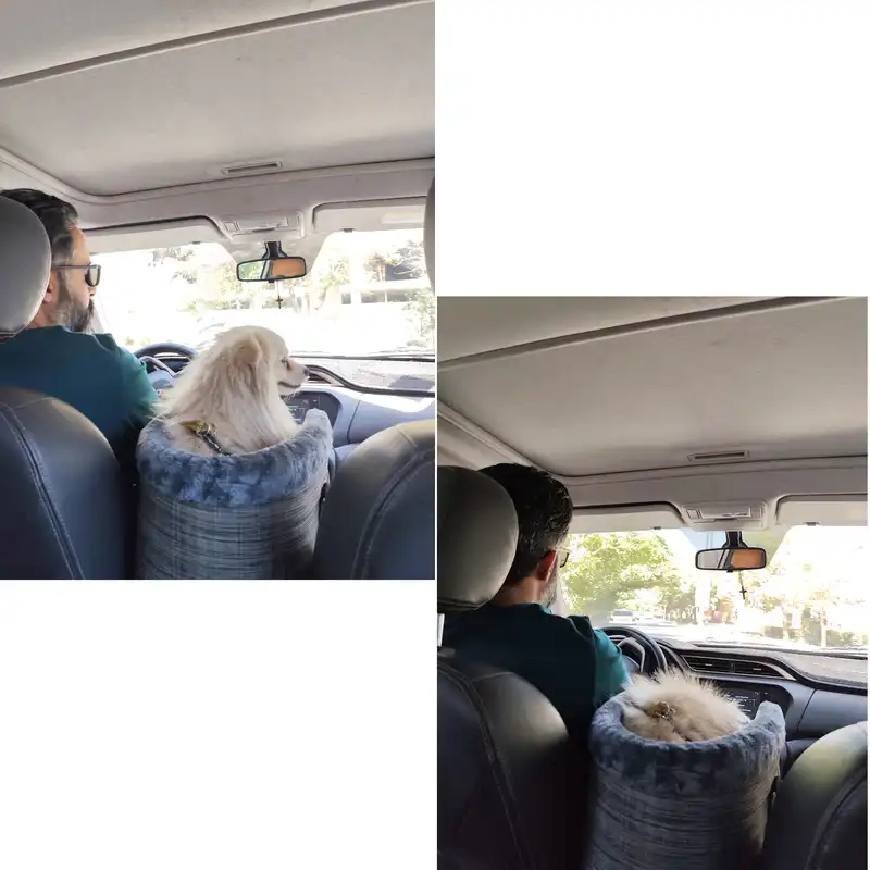 باکس حمل سگ و گربه آردوج مدل کنسول خودرو