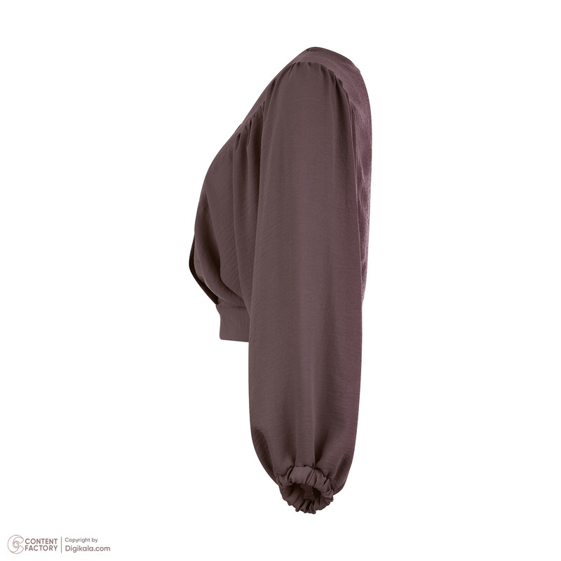 بلوز آستین بلند یقه هفت زنانه گردیه مدل 15126887304362 رنگ قهوه ای
