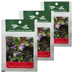 بذر بنسای مورد وانیا سید مدل T44 مجموعه 3 عددی 