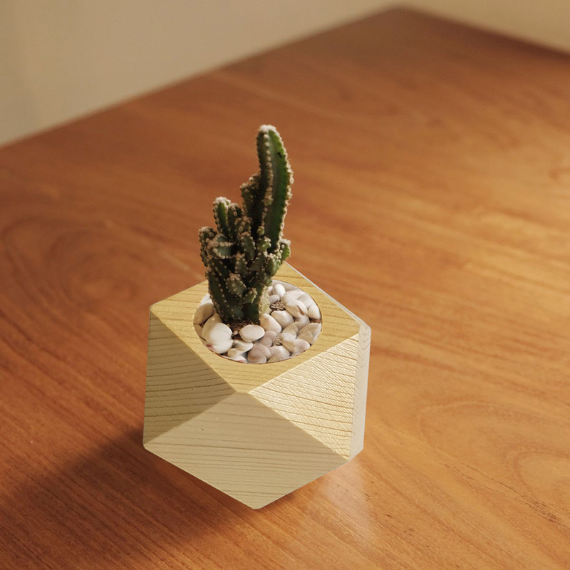 گلدان کاکتوس مدل Z303