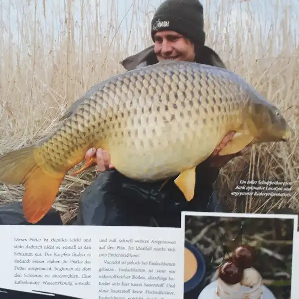 مجله KARPFEN آوريل 2019