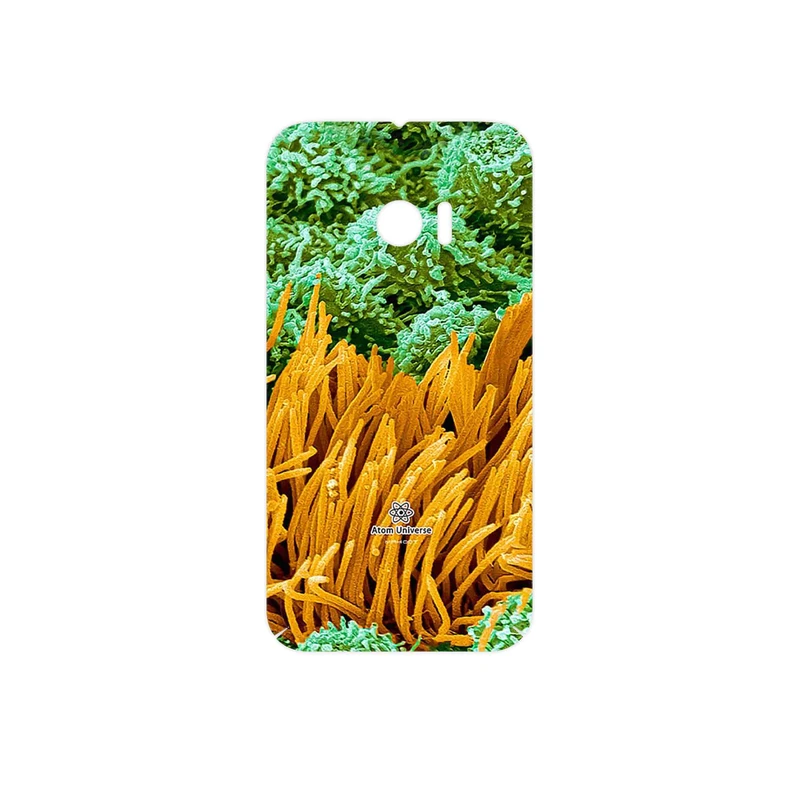 برچسب پوششی ماهوت مدل Atom Universe 6 مناسب برای گوشی موبایل اچ تی سی 10