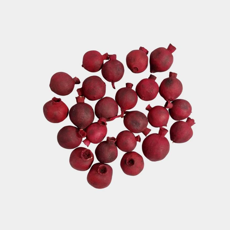 آویز تزیینی مدل مدل انار خشک تزئینی کد 2060 مجموعه 25 عددی