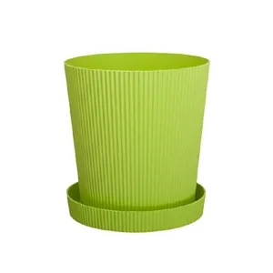 گلدان مدل مارانتا