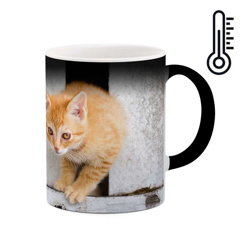 ماگ حرارتی کاکتی مدل گربه کد mgh11287