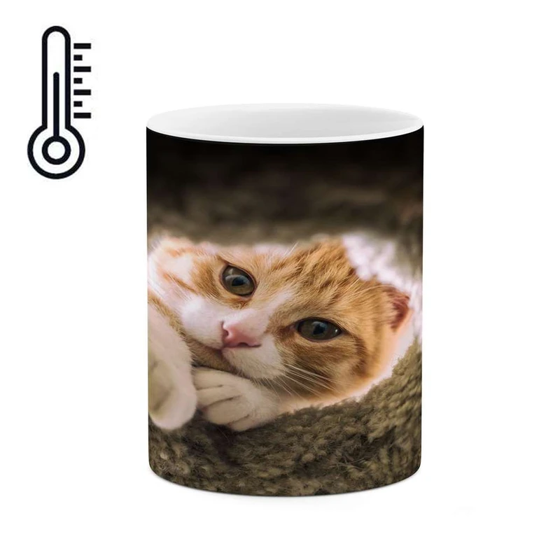 ماگ حرارتی کاکتی مدل گربه کد mgh17157