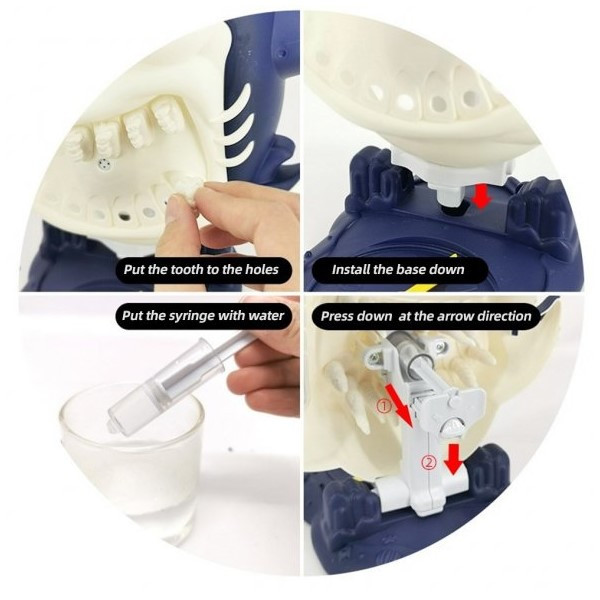 بازی آموزشی مدل کوسه آبپاش