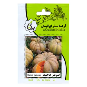 بذر کدو انجیری آتلانتیک آرکا بذر ایرانیان مدل B115