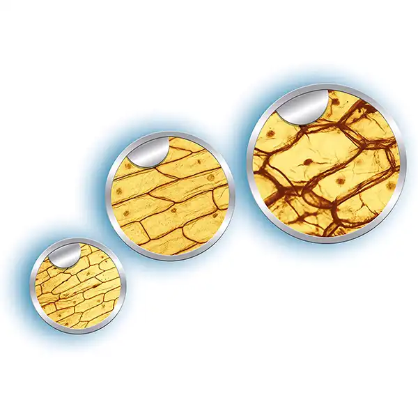 میکروسکوپ مدل کلمنتونی کد 61324