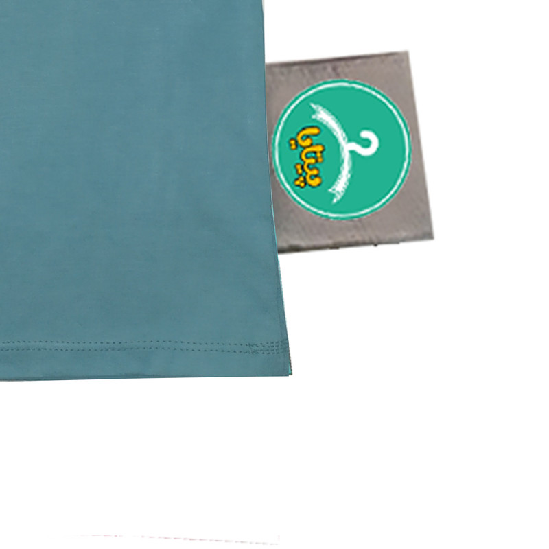 تی شرت آستین کوتاه پسرانه پیتایا مدل bby 6