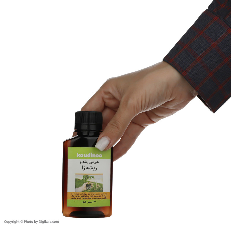 هورمون ریشه زایی کودینو مدل K-21 وزن 120 گرم