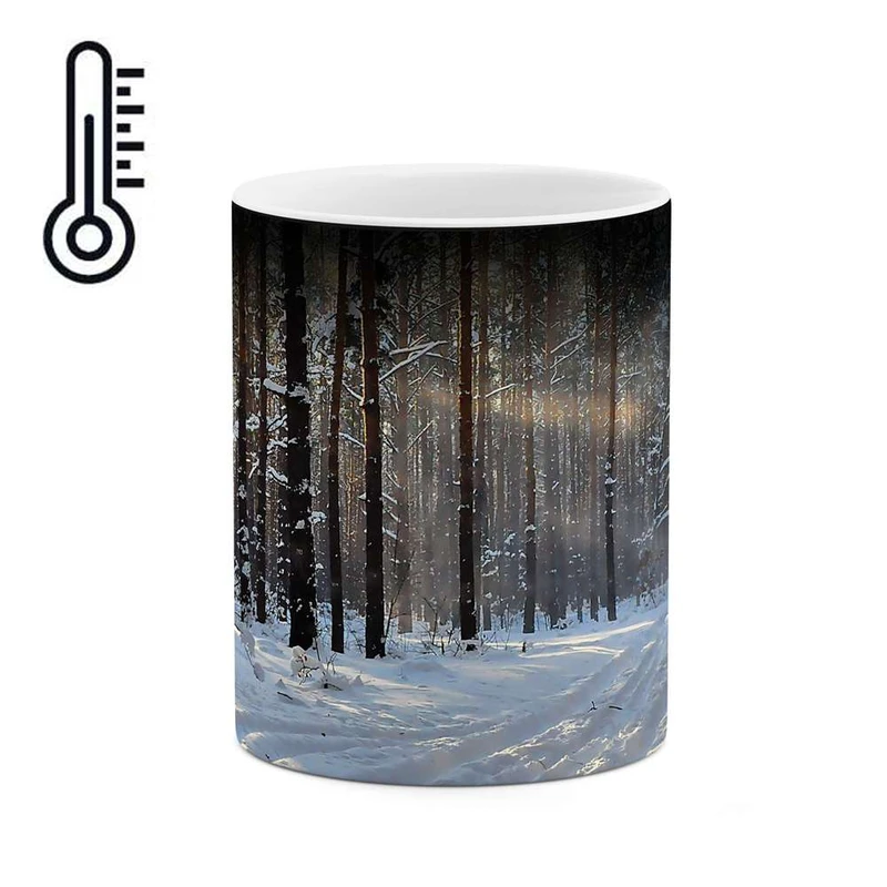 ماگ حرارتی کاکتی مدل طبیعت برفی کد mgh10115