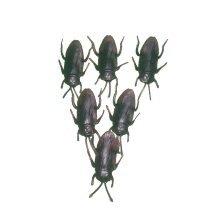 ابزار شوخی مدل سوسک مجموعه 6 عددی
