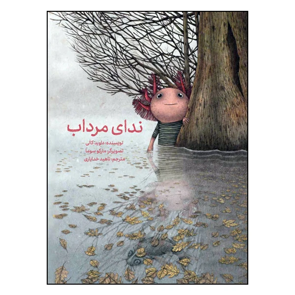 کتاب ندای مرداب اثر داوید کالی انتشارات طوطی