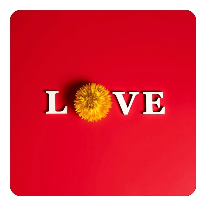 مگنت کاکتی طرح عاشقانه مدل mp36995