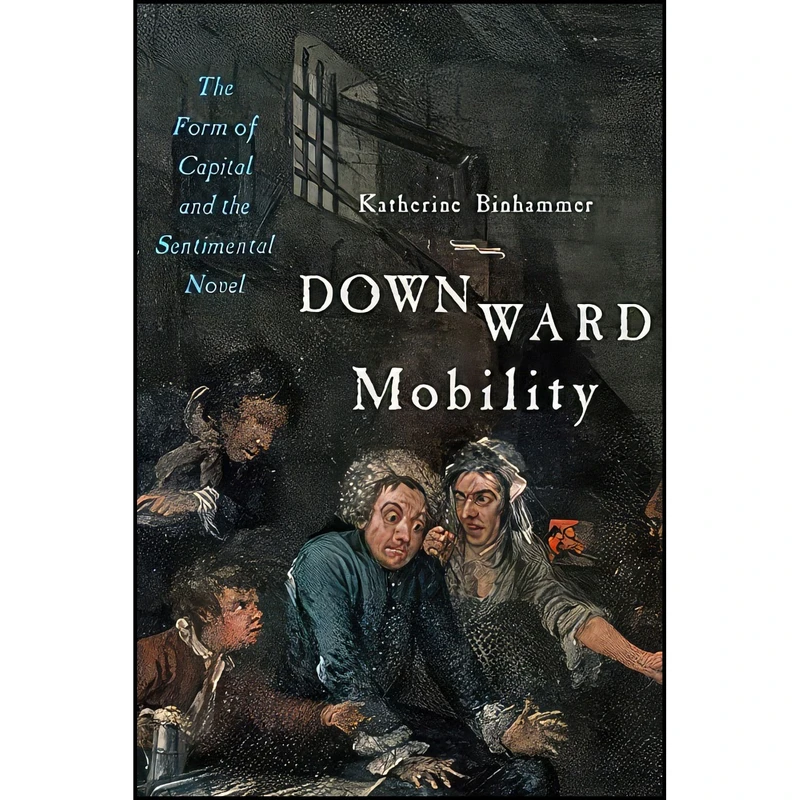 کتاب Downward Mobility اثر Katherine Binhammer انتشارات Johns Hopkins University Press