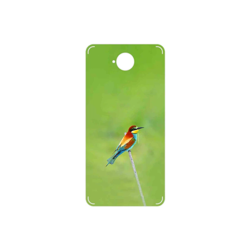 برچسب پوششی ماهوت مدل European bee-eater مناسب برای گوشی موبایل مایکروسافت Lumia 650