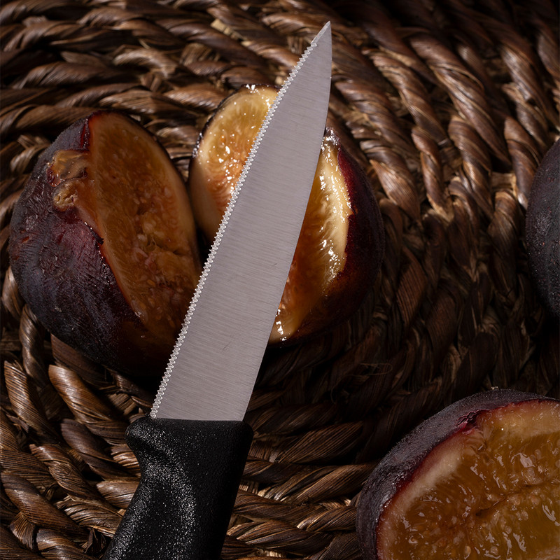 چاقو میوه‌خوری مدل بداف بسته 6 عددی